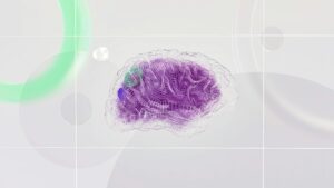 illustration of brain memory systems showing why you forget names